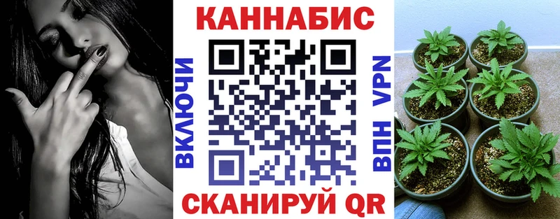 Каннабис ГИДРОПОН  маркетплейс состав  Новоржев  где найти наркотики 